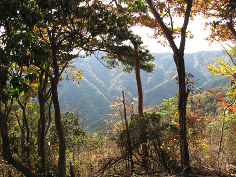 20171102hike (91)